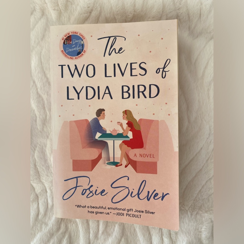 Fiction books 3 for $20